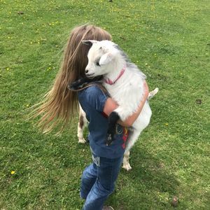 Meet your Posher, Megan